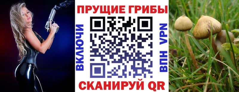 Псилоцибиновые грибы прущие грибы  сколько стоит  Ялта 